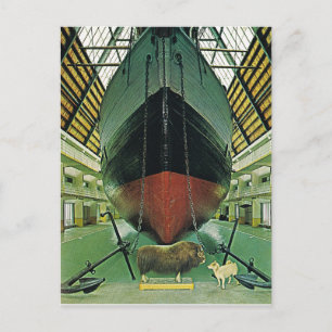 Cartão Postal Vintage Norway, Oslo, Fram Nansen