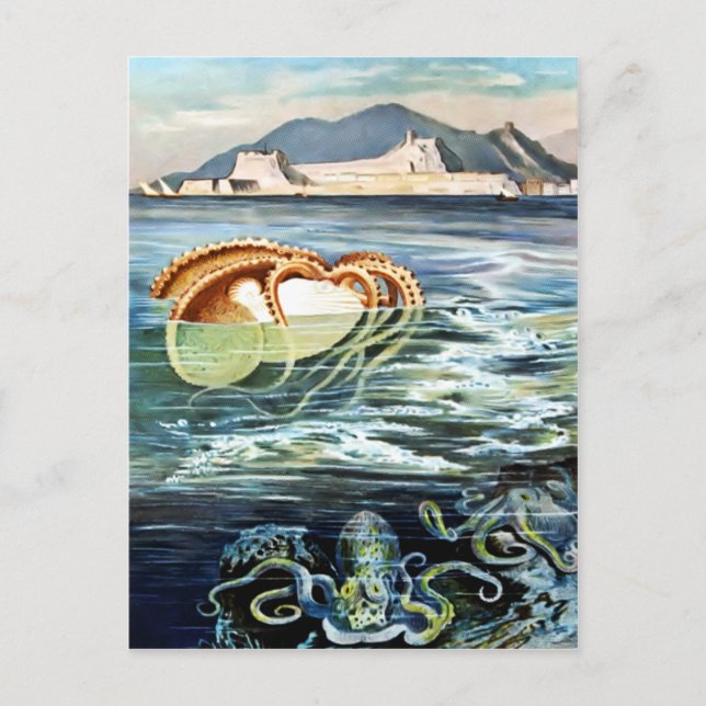 Cartão postal Vintage Octopus & Squid (Frente)