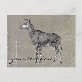 Cartão Postal Vintage Okapi