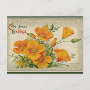 Cartão Postal Vintage Orange Flowers Natal