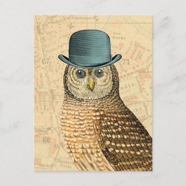 Cartão Postal Vintage Owl em Green Derby Hat (Frente)