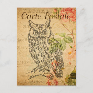 Cartão Postal Vintage Owl Floral Flowers French Cartle Postale