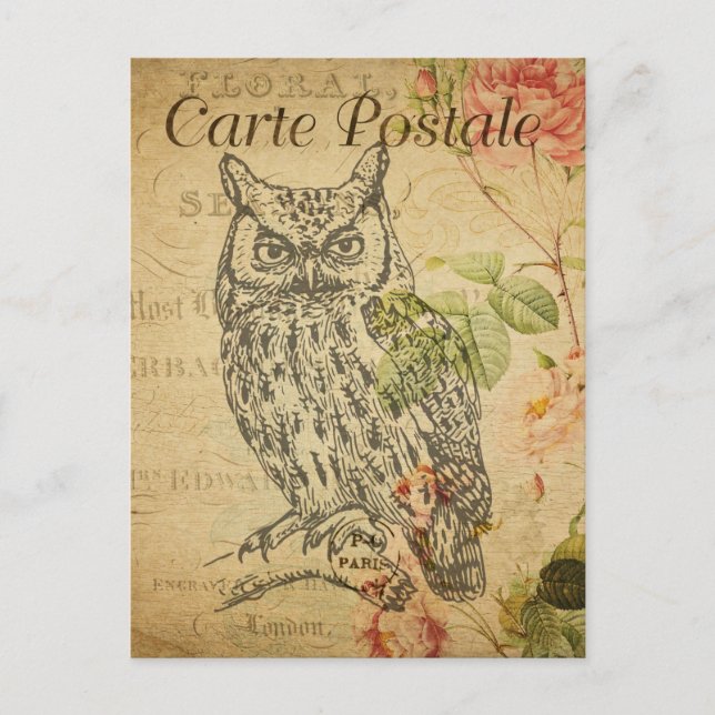 Cartão Postal Vintage Owl Floral Flowers French Cartle Postale (Frente)