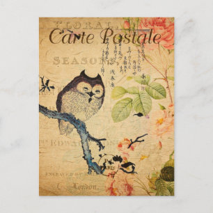 Cartão Postal Vintage Owl Floral Flowers French Cartle Postale