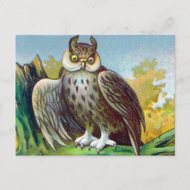 Cartão Postal Vintage Owl Impressão (Frente)