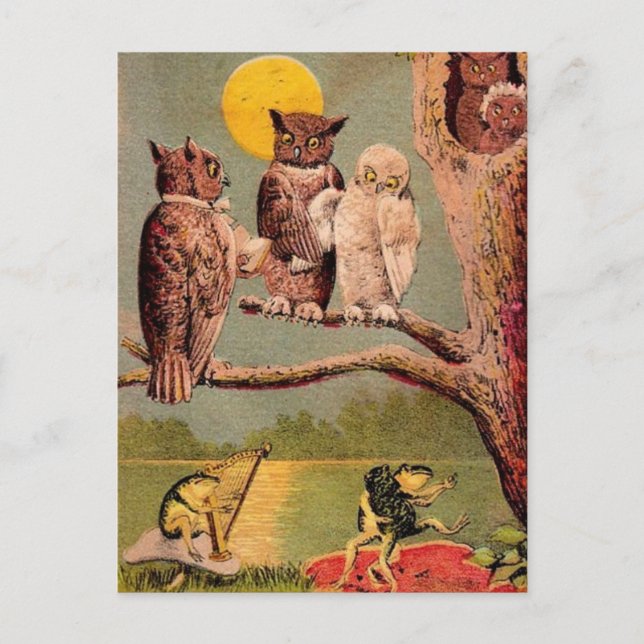 Cartão Postal Vintage Owls (Frente)