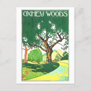 Cartão Postal Vintage Oxhey Woods Viagem