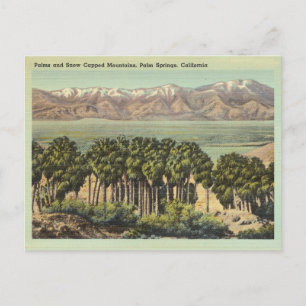 Cartão Postal Vintage Palm Primaveras California Landscape