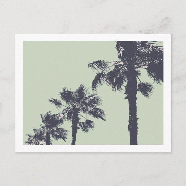 Cartão Postal Vintage Palm Trees (Frente)