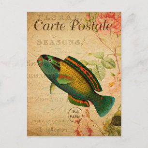 Cartão Postal Vintage Parrotfish Floral French