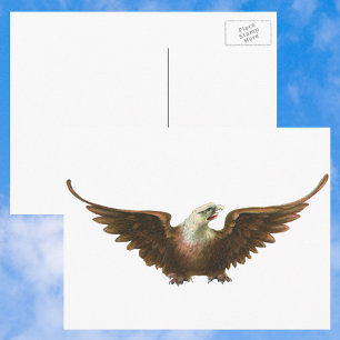 Cartão Postal Vintage Patriotism American Bald Eagle Bird Voando