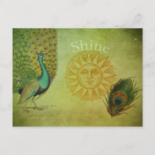 Cartão Postal Vintage Peacock Art Collage