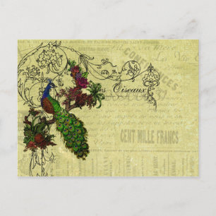 Cartão Postal Vintage Peacock em Branch Roupa e Gifts