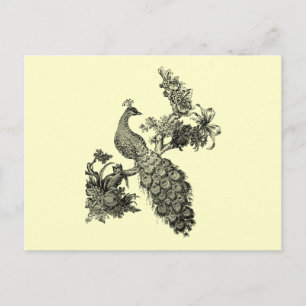 Cartão Postal Vintage Peacock em T-shirts e presentes