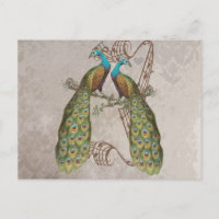 Vintage Peacock Grunge Damask Love Birds