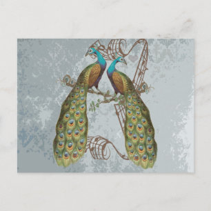 Cartão Postal Vintage Peacock Grunge Damask on Silver