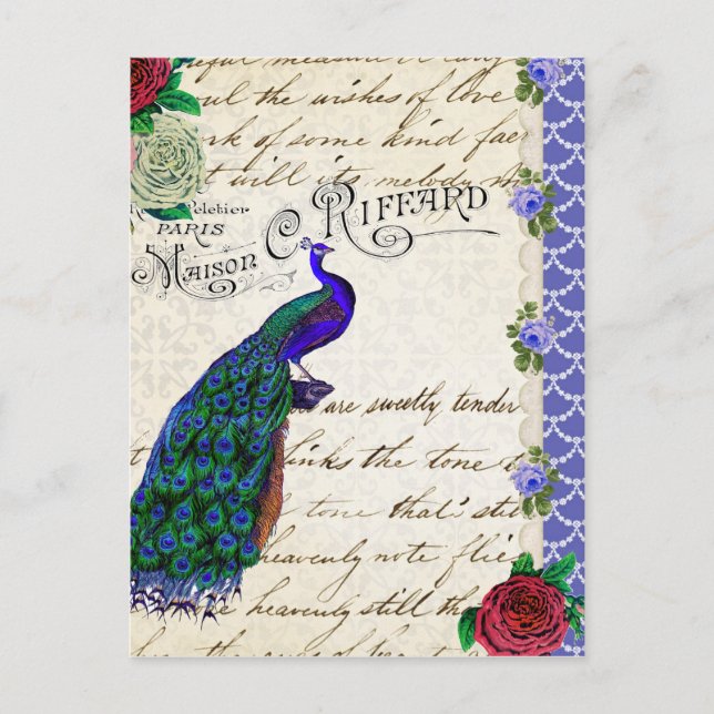Cartão Postal Vintage Peacock Song Collage (Frente)