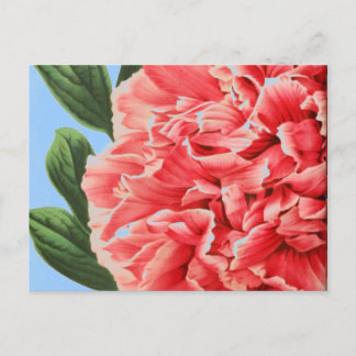Cartão Postal Vintage Peony / Vintage Pfingstrose