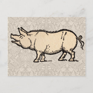 Cartão Postal Vintage Piggy Cute