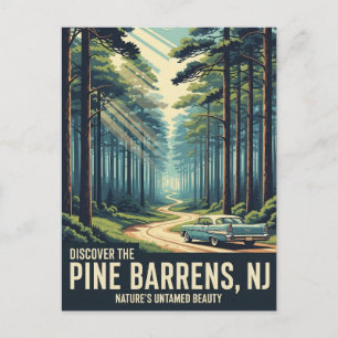 Cartão Postal Vintage Pine Barrens New Jersey Viagem