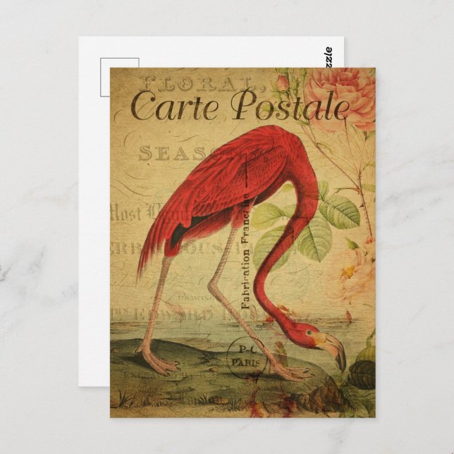 Cartão Postal Vintage Pink Flamingo (Frente/Verso)