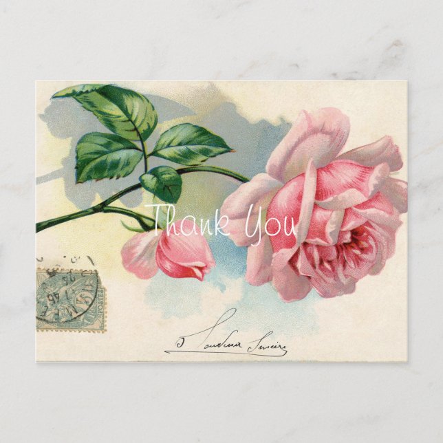 Cartão Postal Vintage Pink Rose Obrigado (Frente)