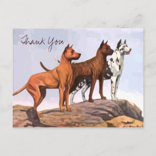 Cartão Postal Vintage Pintou Grandes Danes Obrigado Cartão-Posta