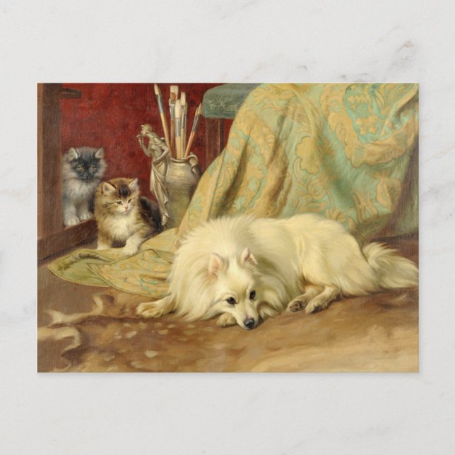 Cartão Postal Vintage Pomeranian Dog Kittens Wright Barker (Frente)
