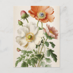 Cartão Postal Vintage Poppies