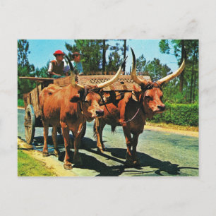 Cartão Postal Vintage Portugal, Minho, carroças de bullock no t