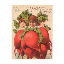 Vintage: publicidade agrícola -