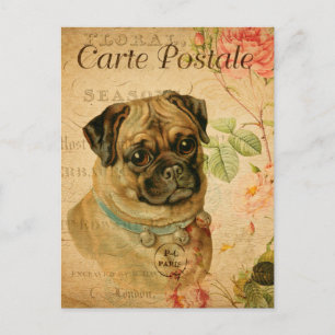 Cartão Postal Vintage Pug Dog Carte Francês Floral Postale