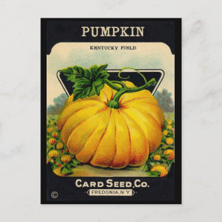Cartão Postal Vintage Pumplin Seed Ad