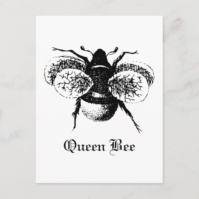 Cartão Postal Vintage Queen Bee (Frente)
