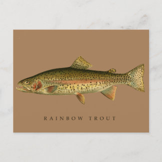 Cartão Postal Vintage Rainbow Trout