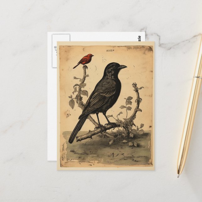 Cartão Postal Vintage Raven & Red Bird (Frente/Verso In Situ)