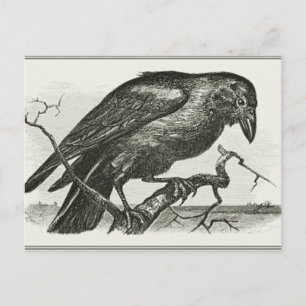 Cartão Postal Vintage Raven Woodcut