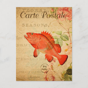 Cartão Postal Vintage Red Rock Fish Floral Flowers Francês