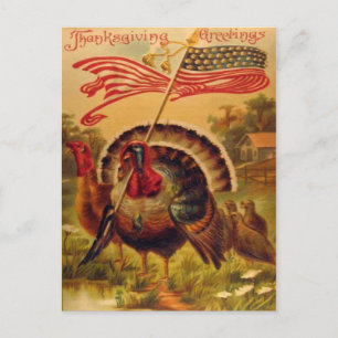 Cartão Postal Vintage Reproduction Patriots Turkeys Ação de Gr