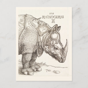 Cartão postal Vintage Rhinoceronos