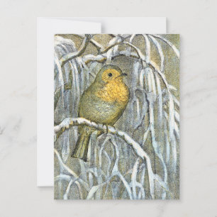 Cartão Postal Vintage Robin Pássaro em um galho nevado