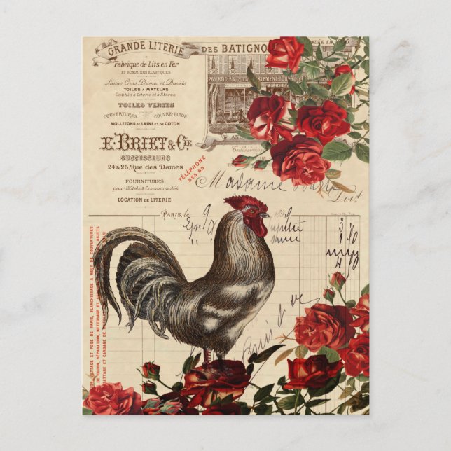 Cartão Postal Vintage Rooster (Frente)