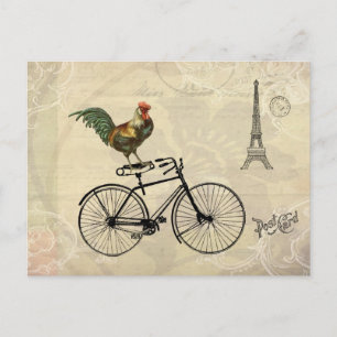 Cartão Postal Vintage Rooster Andando de bicicleta pela Torre Ei