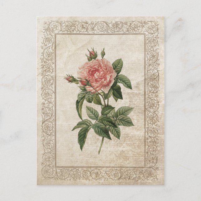 Cartão Postal Vintage Rosa I (Frente)