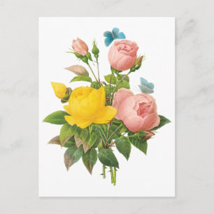 Cartão Postal Vintage Rosas de chá de rosa amarela persa por re
