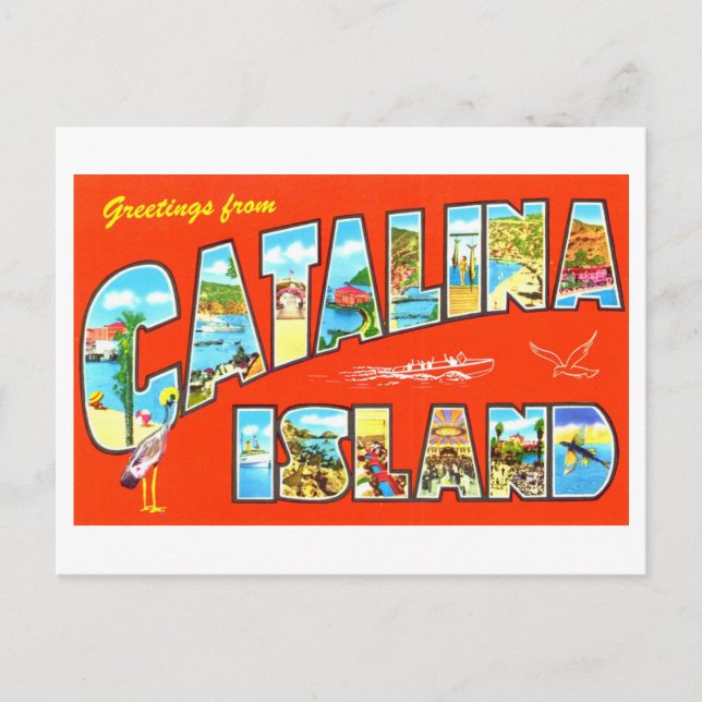 Cartão Postal Vintage Saudações da Ilha Catalina (Frente)