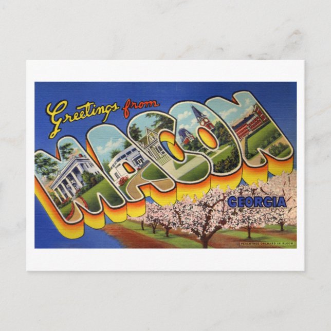 Cartão Postal Vintage Saudações de Macon, Geórgia (Frente)