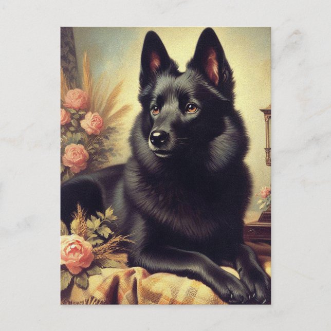 Cartão Postal Vintage Schipperke Dog Painting (Frente)