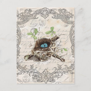Cartão Postal vintage script ephemera bird nest french botanch