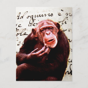 Cartão Postal vintage scripts engraçados Chimpanzé